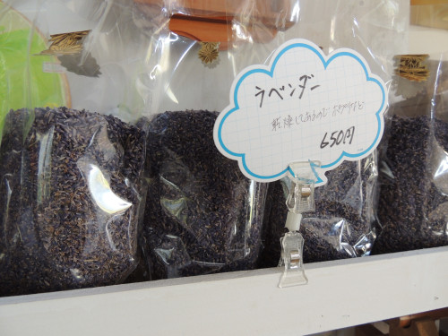 DSCN9167.JPG