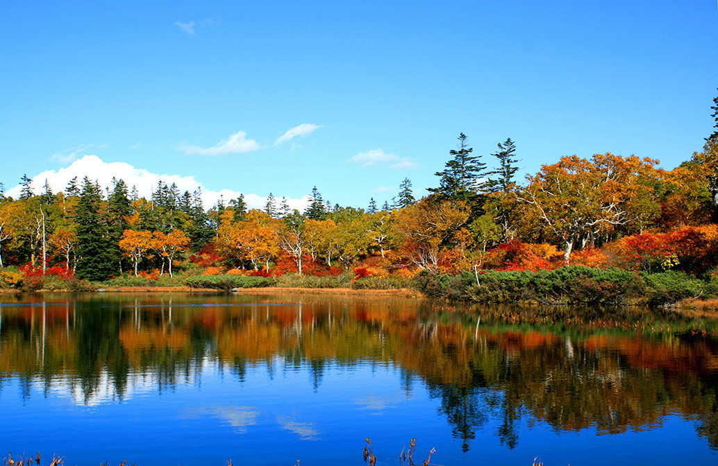 秋の神仙沼