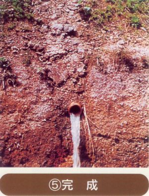 seko005.jpg
