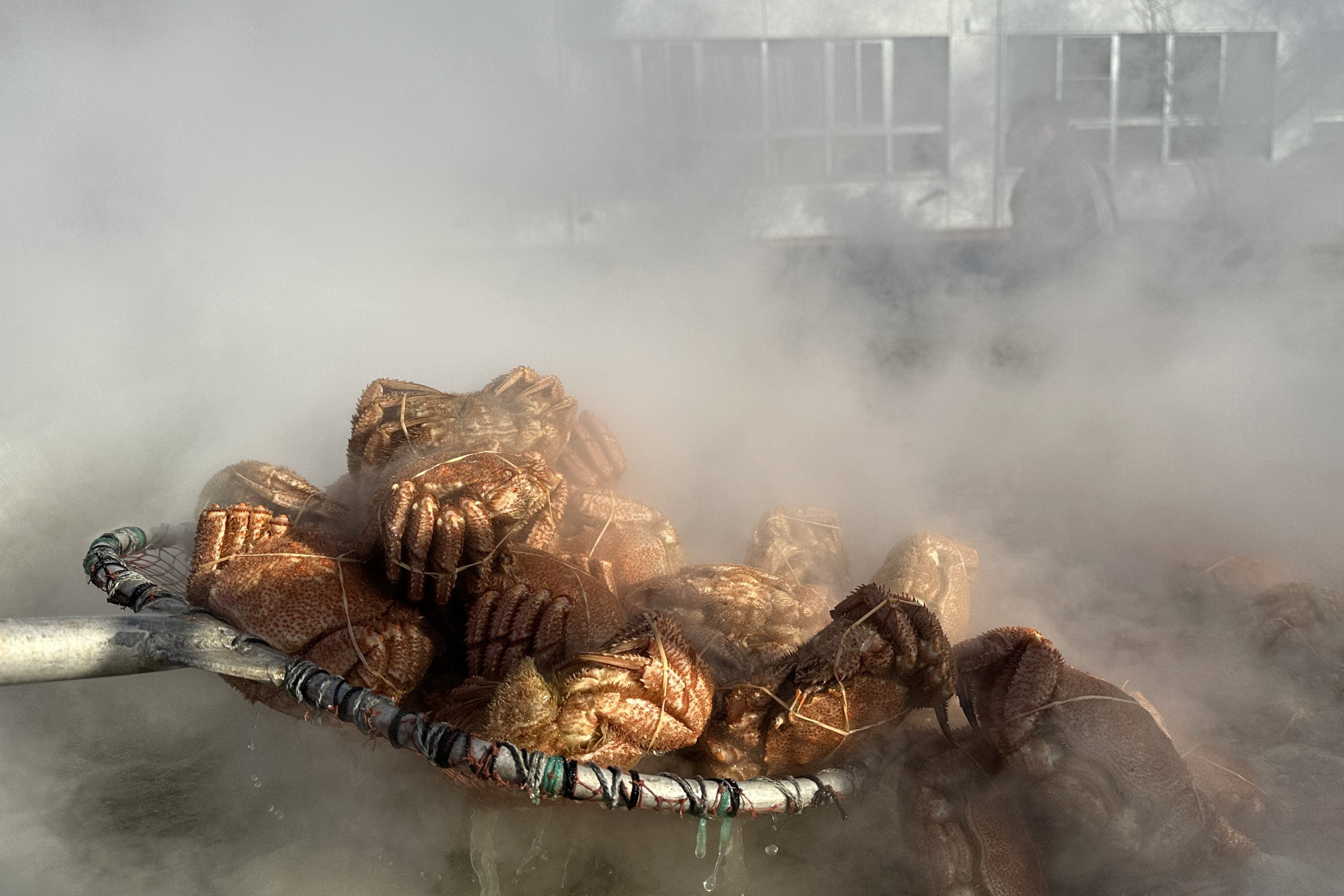 毛蟹まつりなど