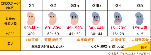 CKDステージ.png