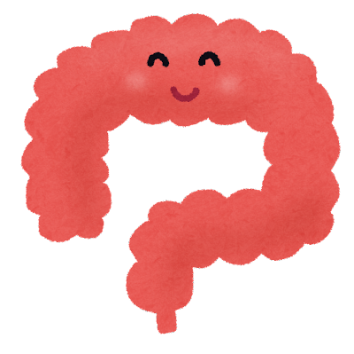 腸元気１.png