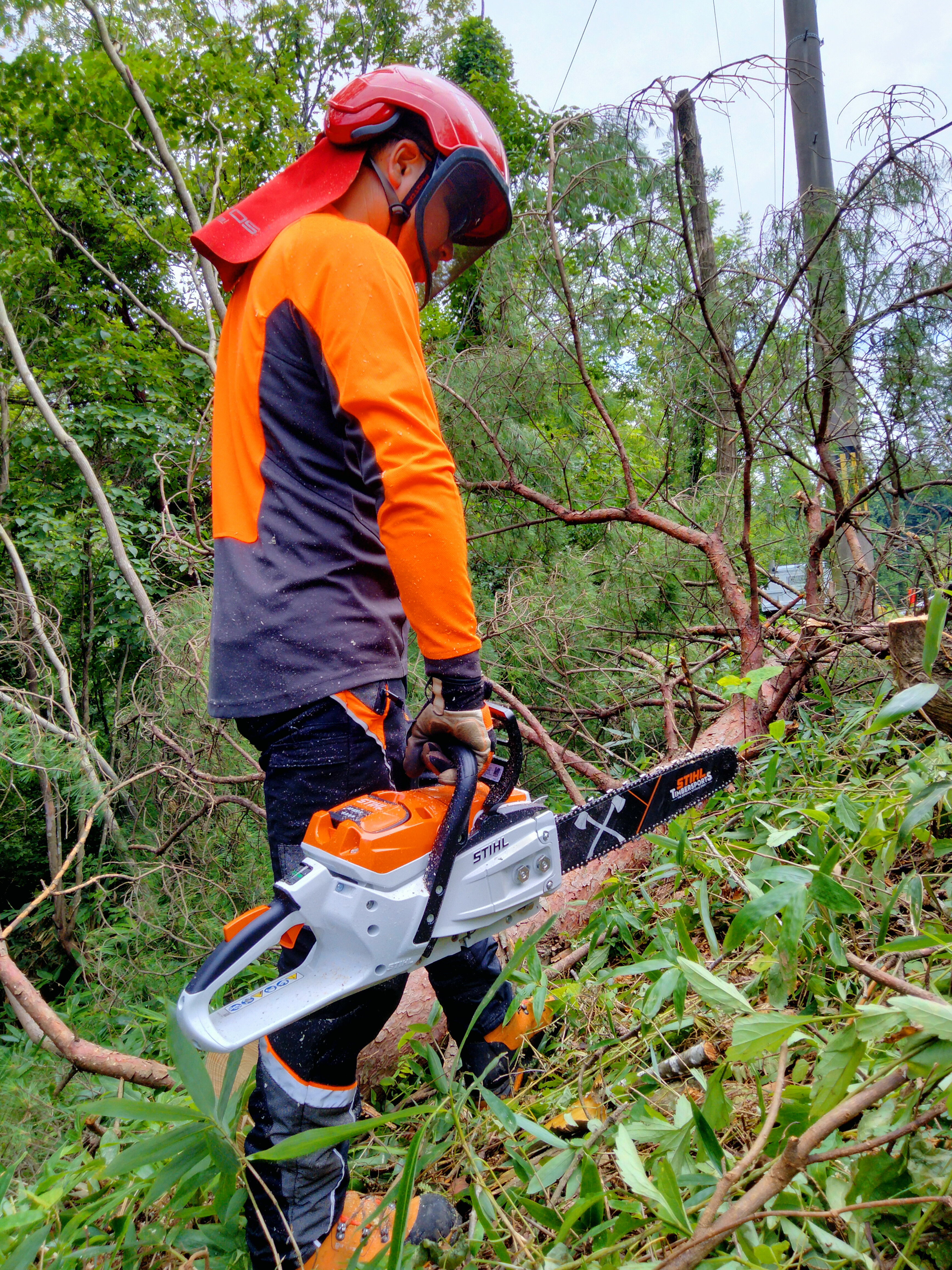 最強バッテリーチェンソー STIHL MSA 300 C-O 発売！！！！ - 石川県 