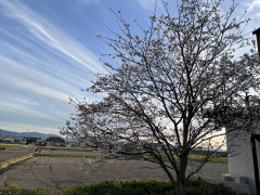 IMG_7803.jpeg