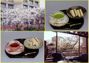 ロビー前の桜並木とお花見お茶セット
