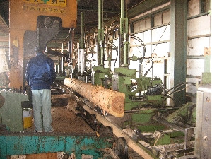 米松は１２ｍまで製造可能です。