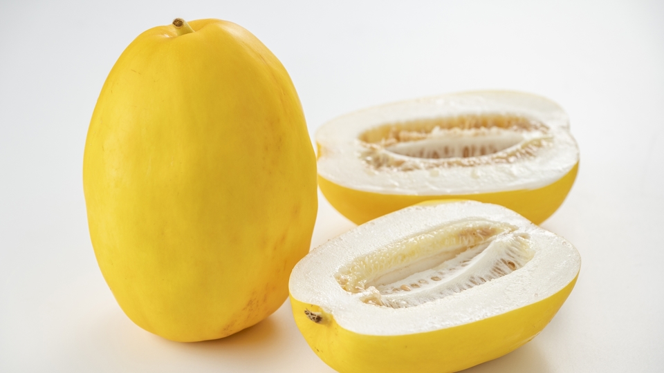 真桑瓜「まくわうり」