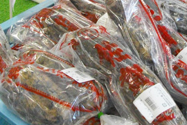 味らん館へ秋の気配