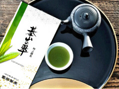 2025midori100gz.jpg