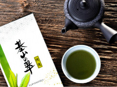2025midori80gz.jpg