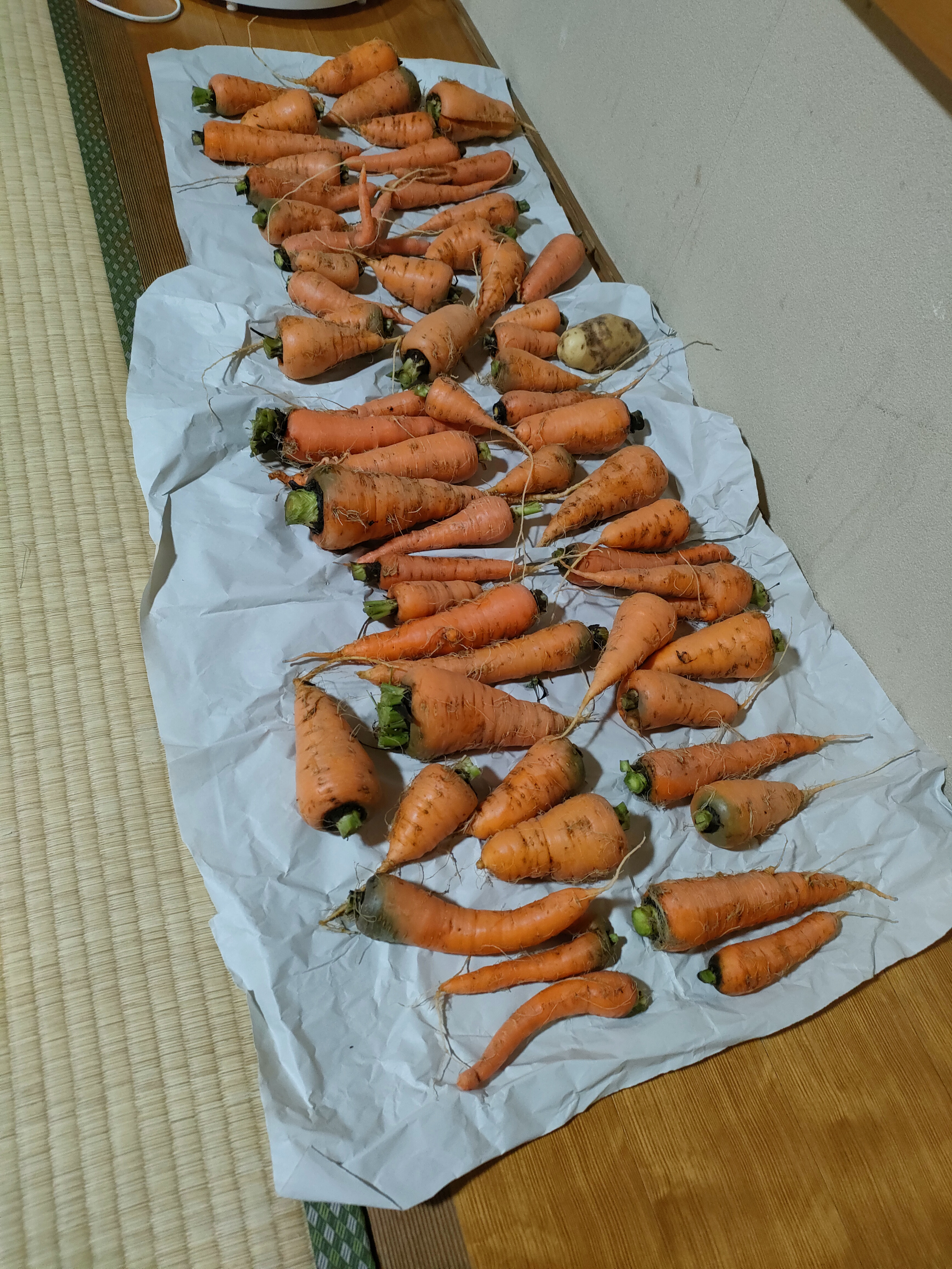 IMG20260827175902.jpg