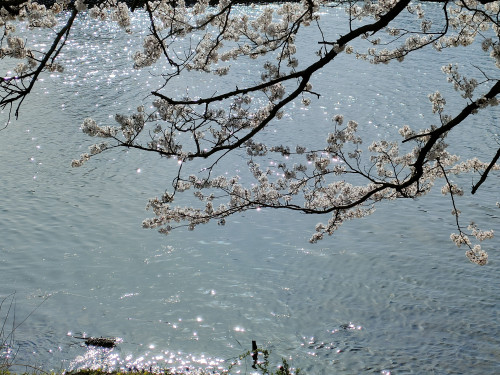IMG20250409155115.jpg
