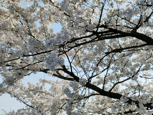 IMG20250409155133.jpg