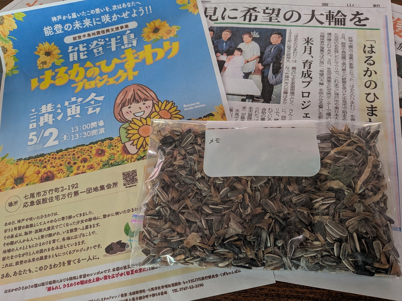 ◆「はるかのひまわり」のタネ配布◆