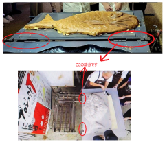 蝶番.png
