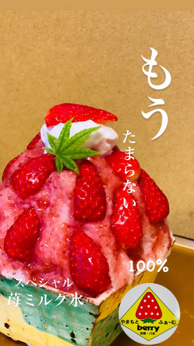 54EEDEBB-63A9-445B-BF6C-428B47D1B01C.jpeg