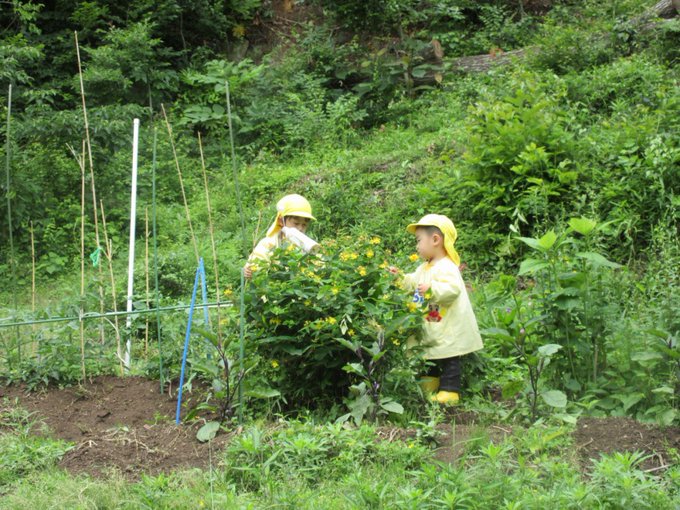 お空の雲や草木小さな虫さんと友達になりませんか
