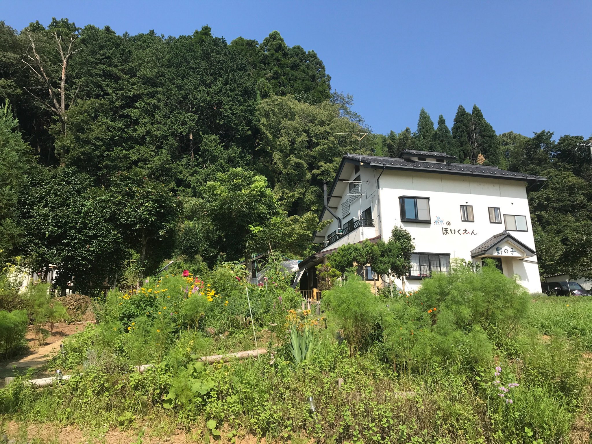 森のほいくえん野の子