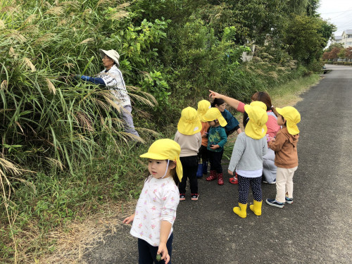 薄０.jpg