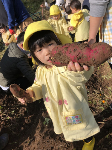 芋４.jpg