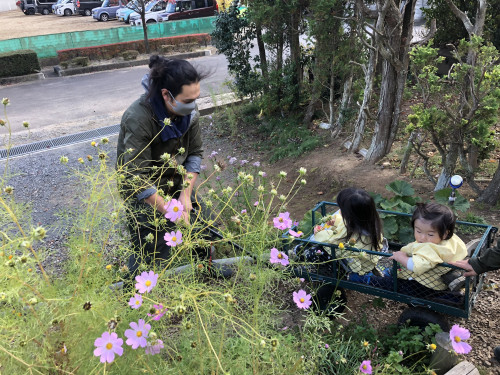 野のこ２.jpg