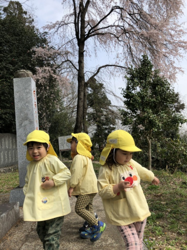 花見３.jpg