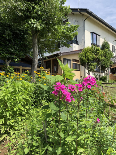 夏１.jpg