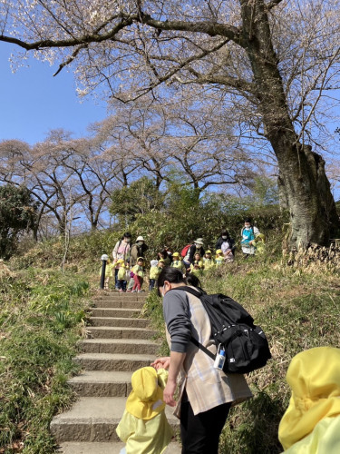 D70AF2B0-2606-45AE-96AE-885FC36E2D36.jpeg