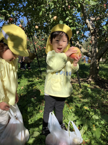 IMG_2019.jpeg