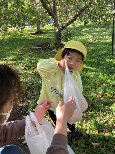 IMG_2018.jpeg