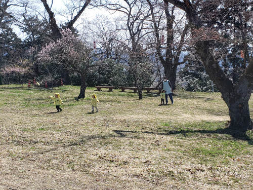 20240405_101527.jpg