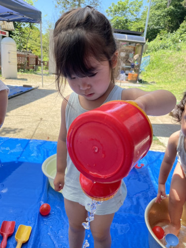 IMG_9195.jpeg