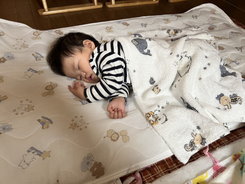 IMG_2404.jpeg