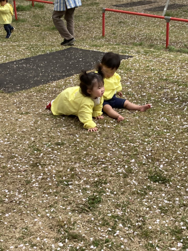 IMG_2554.jpeg