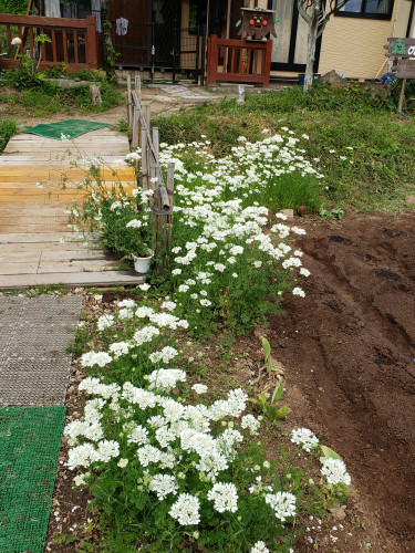 20250527_100840.jpg