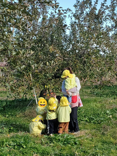 1765524942701.jpg