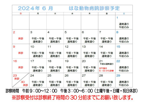 ー６月休診のご案内ー