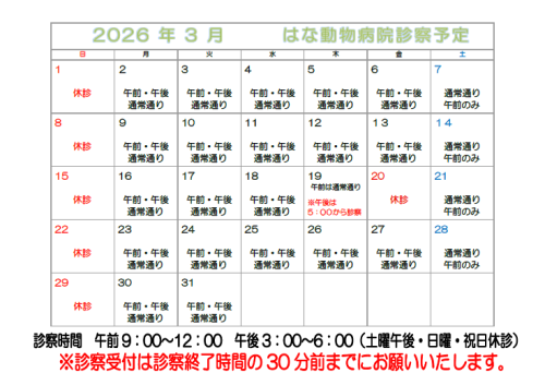 🐾 3月休診のお知らせ 🐾