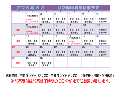 🐾　6月　休診のお知らせ　🐾