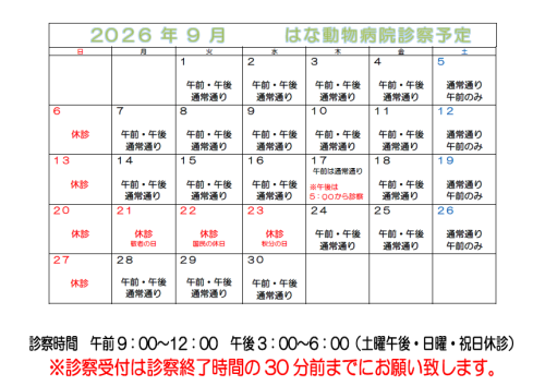 🐾　９月休診のお知らせ　🐾