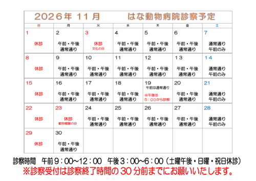 🐾 １１月休診のお知らせ 🐾