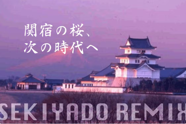 野田市関宿城さくらまつりクラウドファンディング支援募集中！