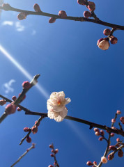 IMG_2222.jpeg