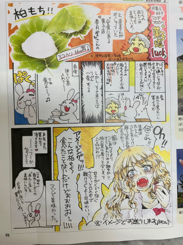 IMG_2763.jpeg