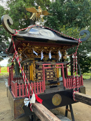 IMG_3756.jpeg