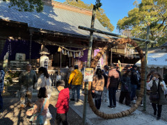 IMG_4182.jpeg