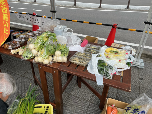 image8.jpeg