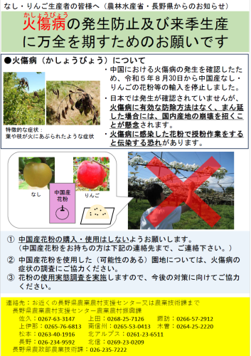火傷病.png