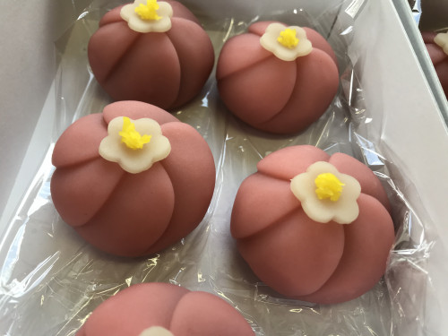 本日の上生菓子「桃の花」