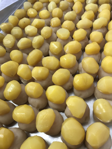 本日は栗ぱい🌰製造！